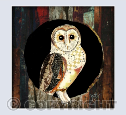 Barn owl in tree stump