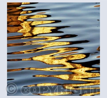 Reflections