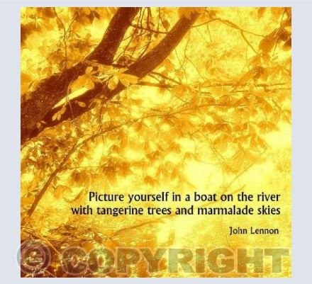 Marmalade skies