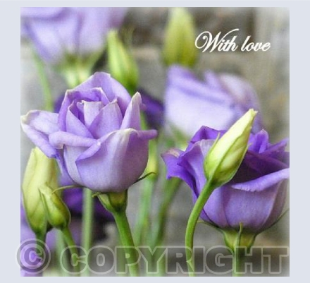 With Love