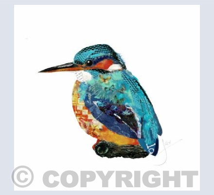 Kingfisher 1