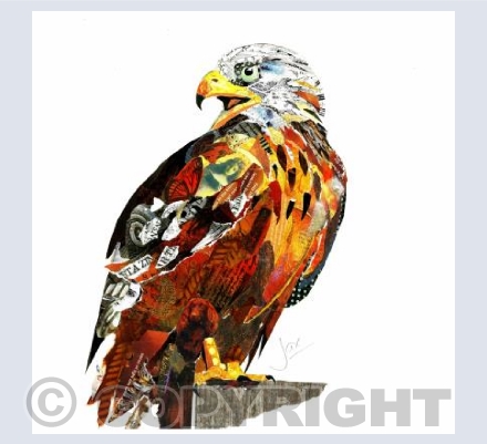 Red Kite