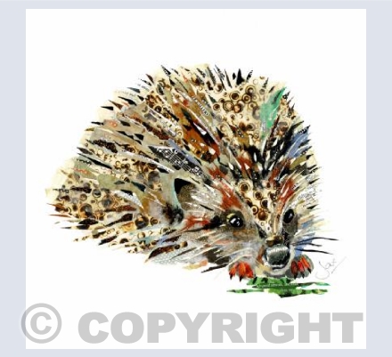 Hedgehog 2