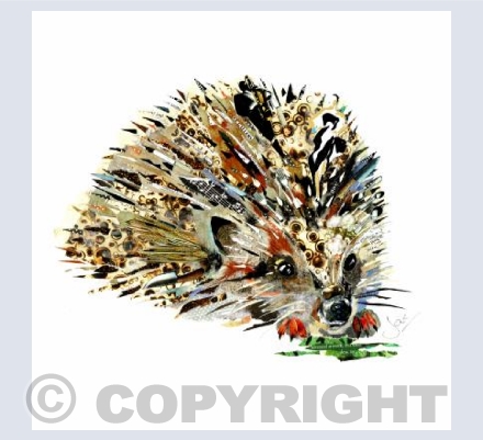 Hedgehog 3