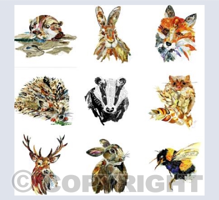 Wildlife collage