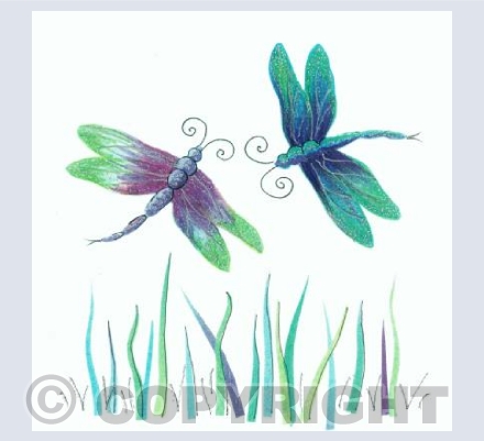 Pair of dragonflies