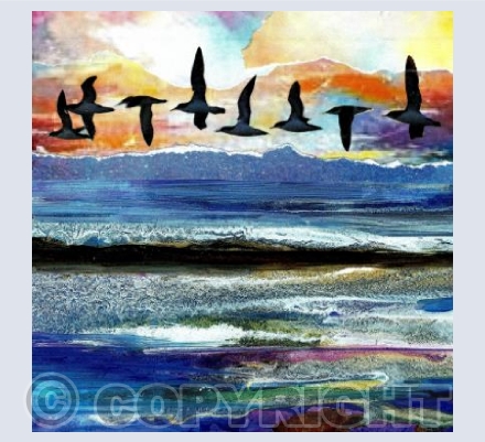 Manx Shearwaters