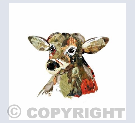Doe