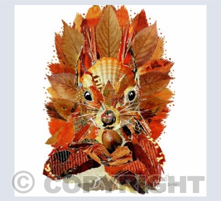 Red Squirrel