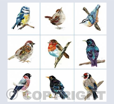 British Garden Birds