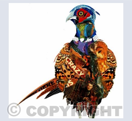 Pheasant