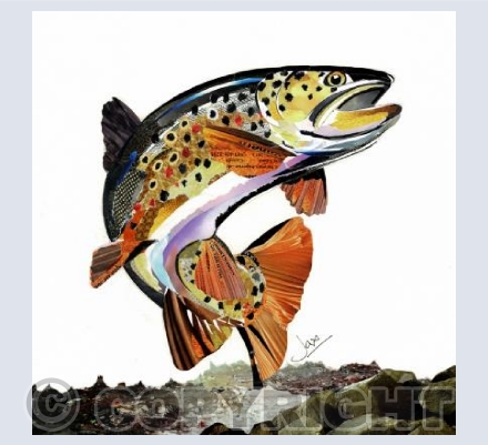 Fish Out Of Water