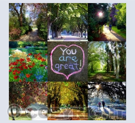 Florence Park Oxford through the seasons