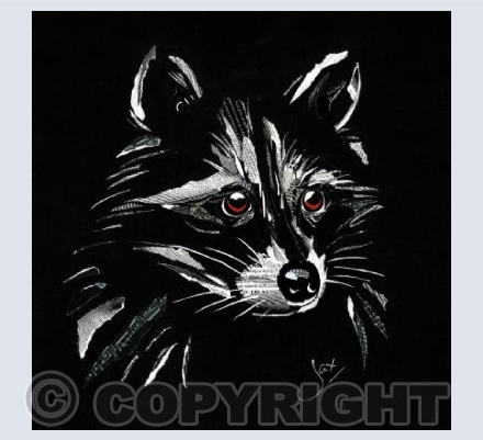 Rocky Raccoon