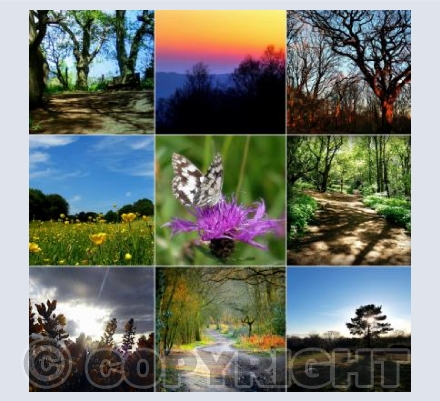 Shotover Through the Seasons