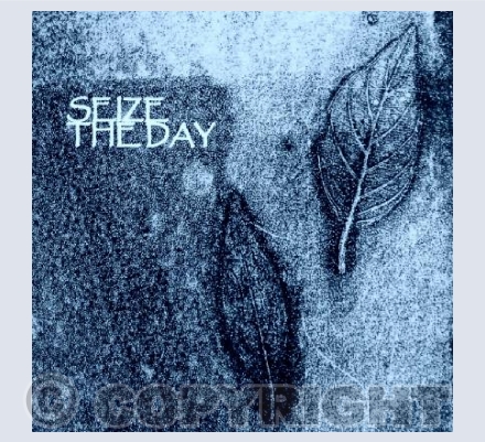 Seize the Day!