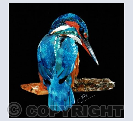 Kingfisher 4