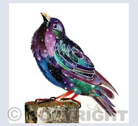 Starry Starling