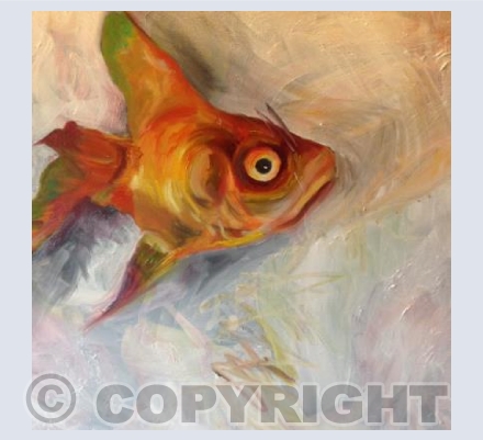One Goldfish