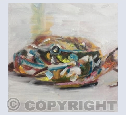 Crab Study