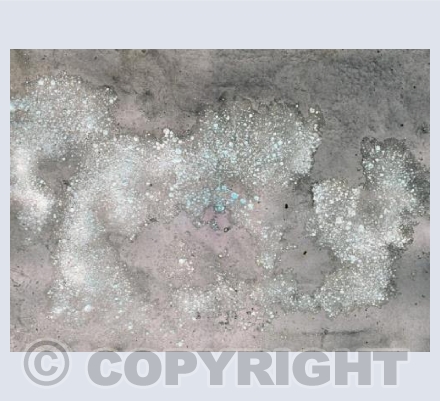 Snow Melt