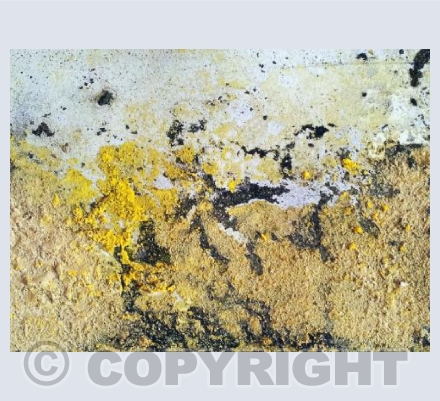 Indian Sandstone