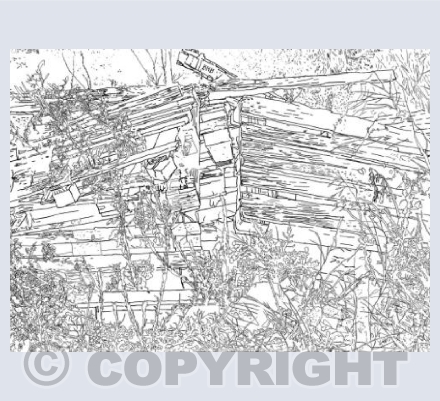 The Pallets of Lemba