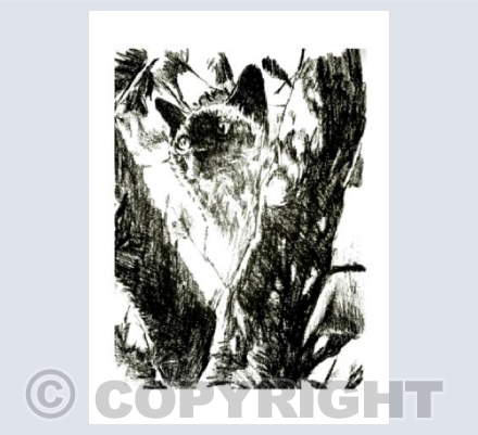 In the Tree
