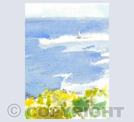 Spring sailing