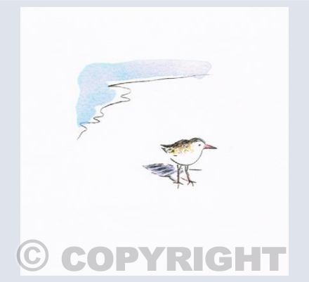 Sandpiper 