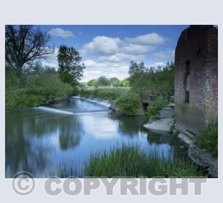 Weir at Cut Mill, Dorset