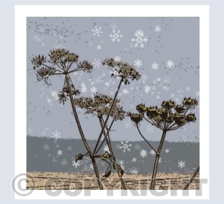 "First Snow"