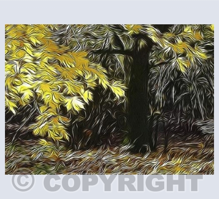 Golden Autumn