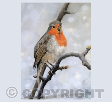 Winter Robin