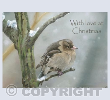 "Christmas Sparrow"