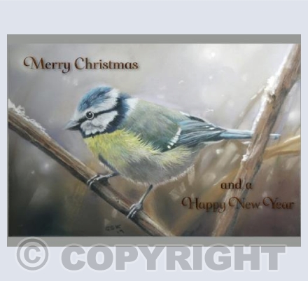 Christmas Bluetit