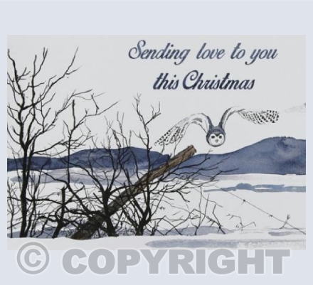 Christmas Owl