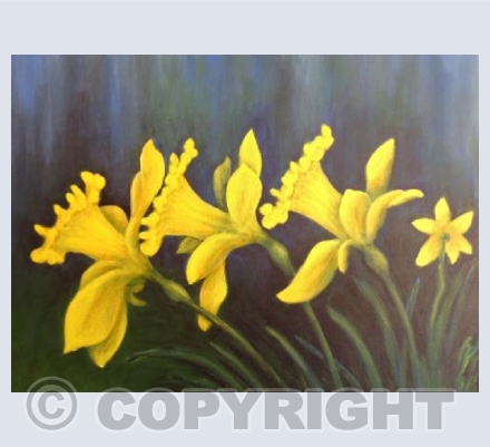 Daffodils