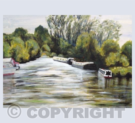 Morning: from the Trout