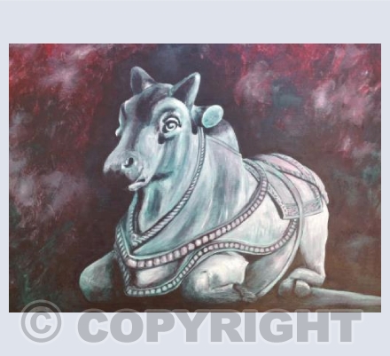 Brahmin Bull