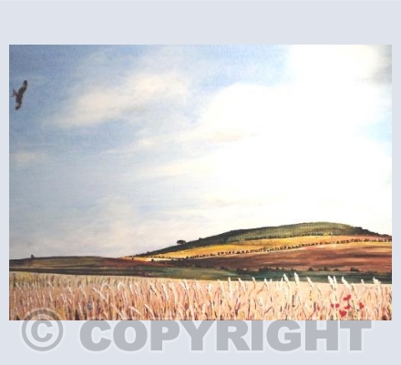 Liddington Hill