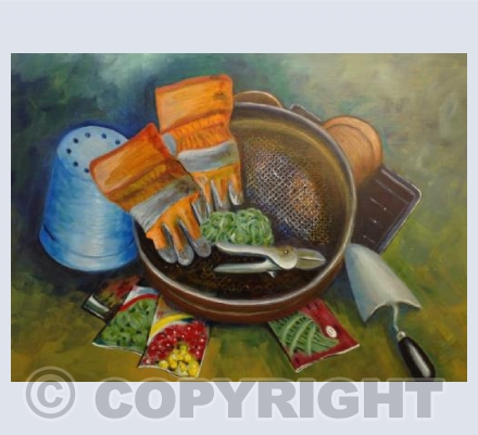 From the Potting Shed