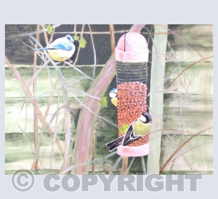 From the Kitchen Window