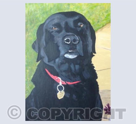 Am I Getting a Biscuit or Not?