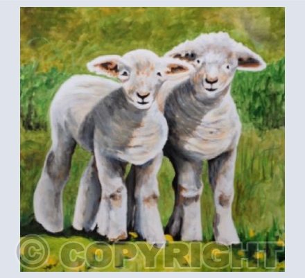 Spring Lambs