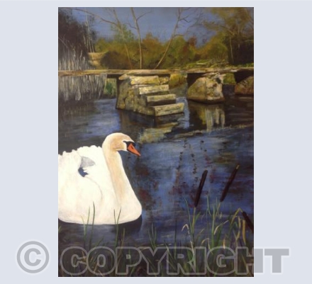 Swan at Eastleach