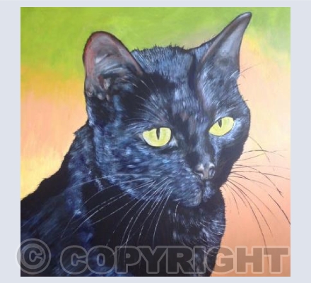 Black Cat