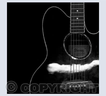 Acoustic Guitar