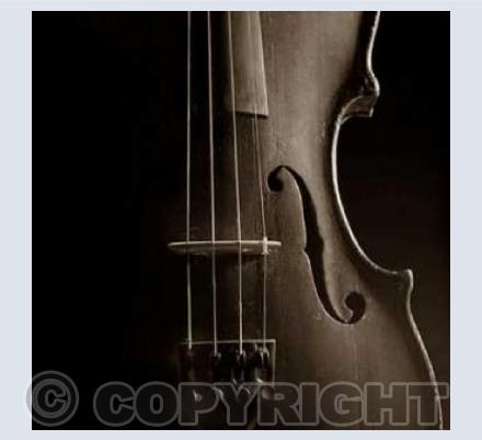 Strings