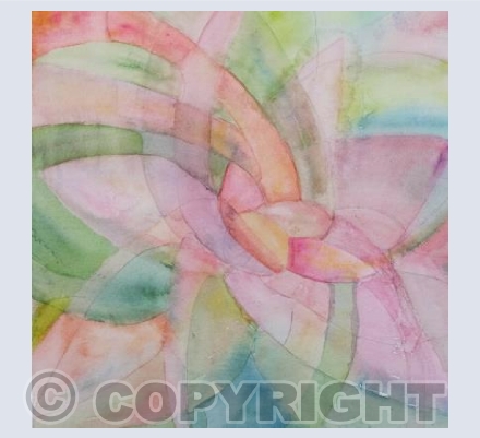 Water lilly